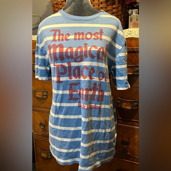 Disney Other - Disney Parks forever by Junk Food 100% cotton Disney vacation tee